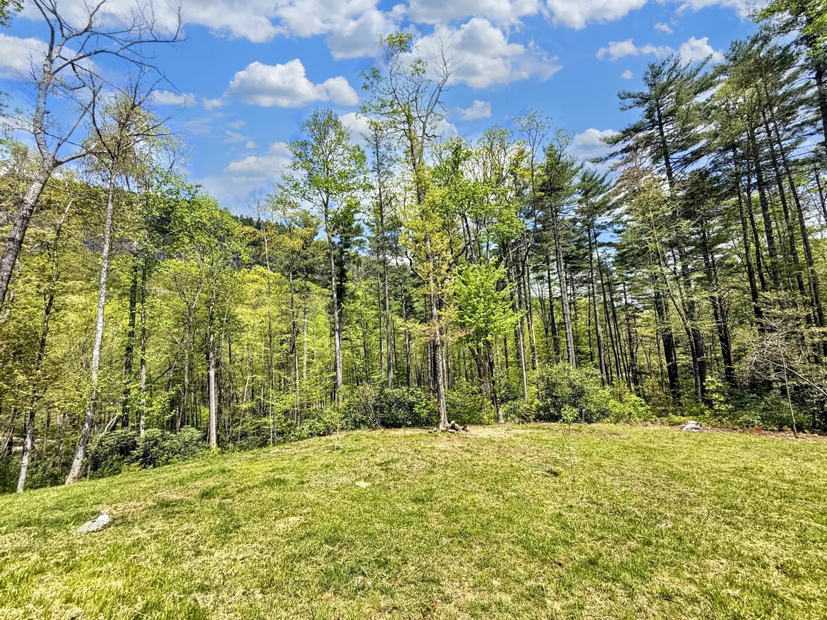 An open grassy area framed by vibrant green trees, with distant rolling hills peeking through in the background. The setting is bathed in natural light, ideal for picnics, stargazing, and letting dogs or children explore safely.